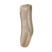 Grishko 0511 Novice Pointe Shoes 