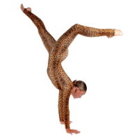 Starlite Leopard Catsuit 