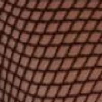 Silky Dance Professional Backseam Fishnets 