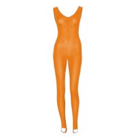 **WSL** Starlite Nylon Lycra Scatty Catsuit 