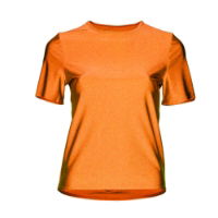 **WSL** Starlite Nylon Lycra Sam Dance T Shirt 